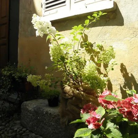 Pensión Al Vicolo Del Gallo Varallo