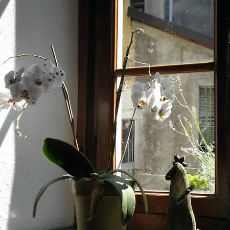 Guest house Al Vicolo Del Gallo Varallo