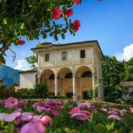 Al Vicolo Del Gallo 3* فارالو