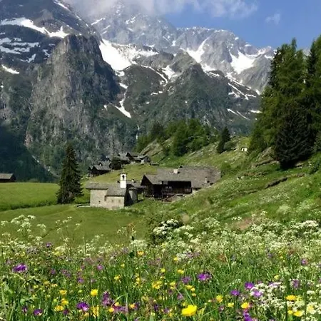 Pensjonat Al Vicolo Del Gallo 3*