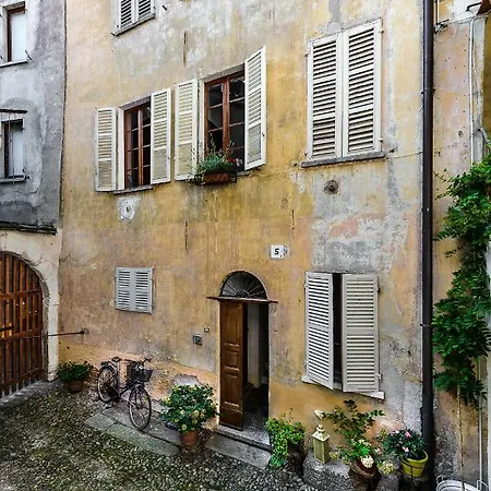 Al Vicolo Del Gallo
