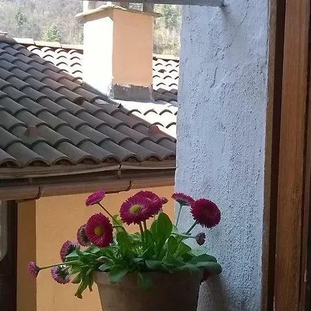Al Vicolo Del Gallo 3* Варалло