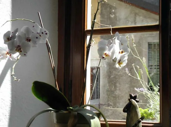 Guest house Al Vicolo Del Gallo Varallo